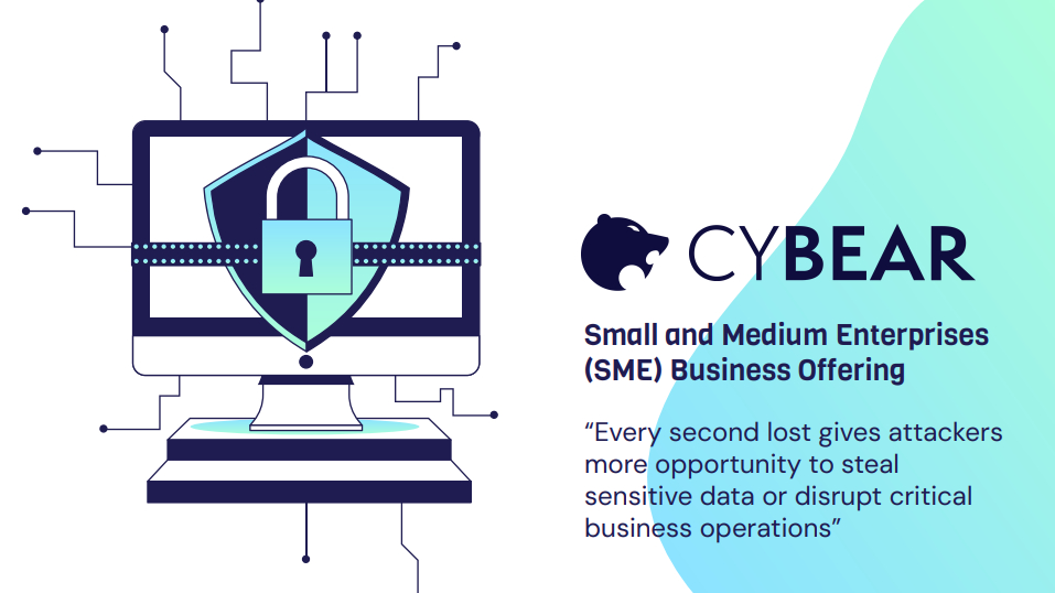 CYBEAR Offerings & Services